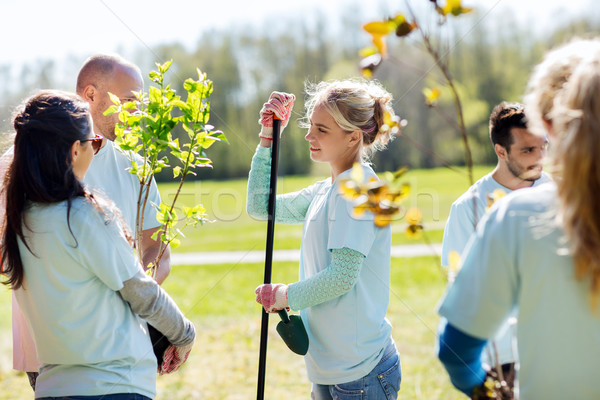 group of volunteers planting trees in park Stock photo © dolgachov