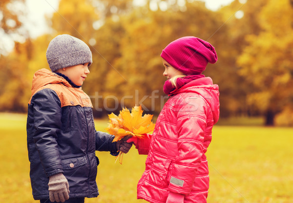 little boy giving autumn maple leaves to girl Stock photo © dolgachov