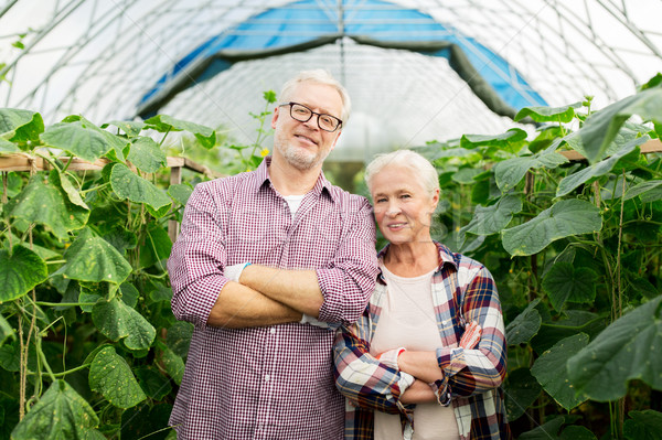 happy senior couple at farm greenhouse Stock photo © dolgachov