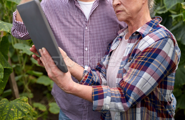 Stock photo: senior couple with tablet pc at farm greenhouse