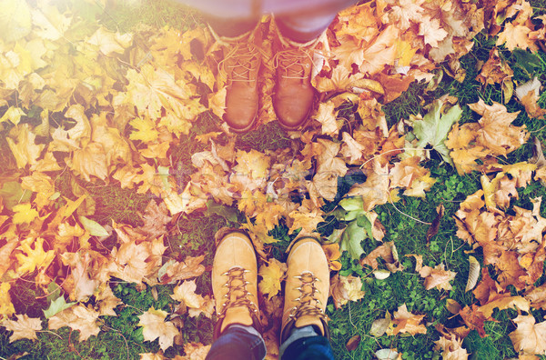 Pareja pies botas hojas de otoño temporada personas Foto stock © dolgachov