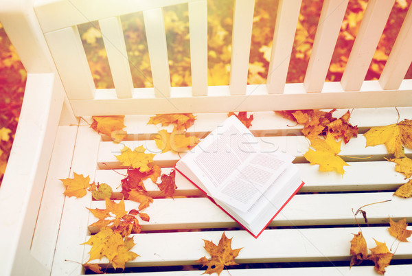 open book on bench in autumn park Stock photo © dolgachov