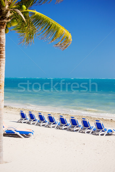 tropical resort Stock photo © dolgachov