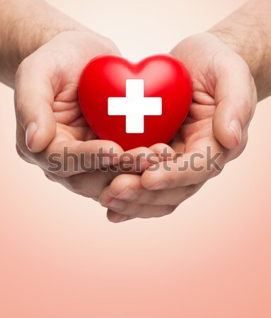 male hands holding red heart with donor sign Stock photo © dolgachov