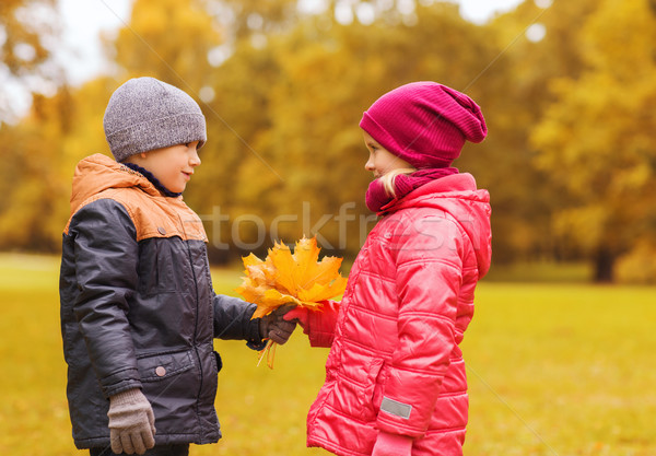 Peu garçon automne érable laisse fille [[stock_photo]] © dolgachov