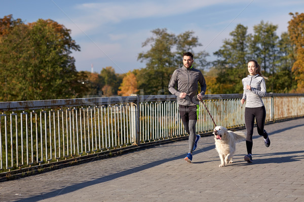 Foto stock: Feliz · casal · cão · corrida · ao · ar · livre · fitness