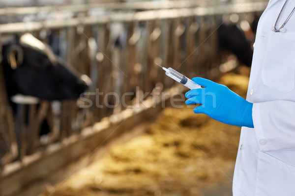 Medicul veterinar mână vaccin seringă fermă agricultură Imagine de stoc © dolgachov