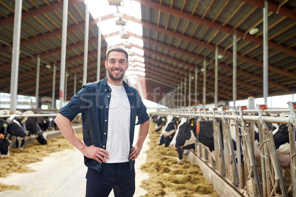 man or farmer with cows in cowshed on dairy farm Stock photo © dolgachov