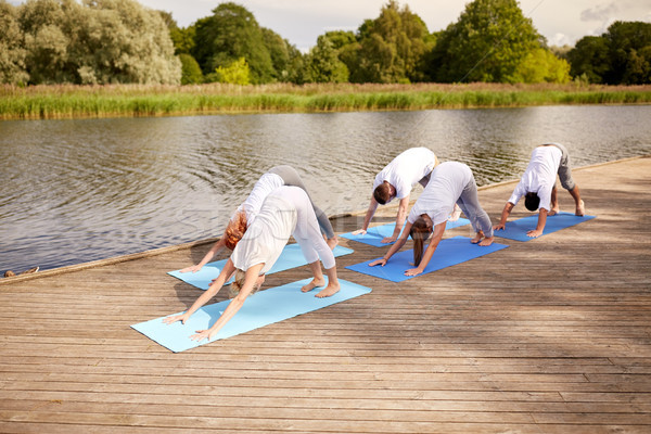 group of people making yoga dog pose outdoors Stock photo © dolgachov