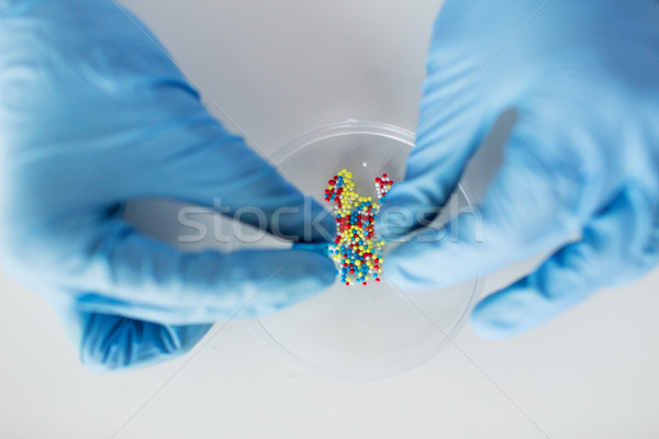 close up of scientist hands holding pill in lab Stock photo © dolgachov