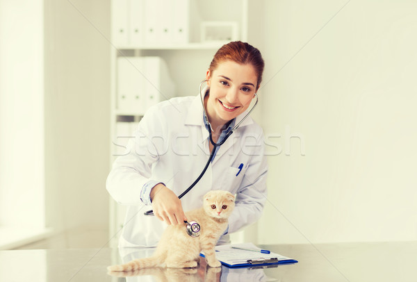 [[stock_photo]]: Heureux · vétérinaire · chaton · vétérinaire · clinique · médecine