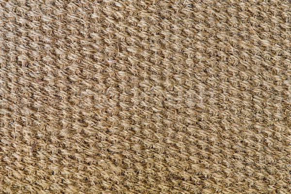 natural sisal matting surface Stock photo © dolgachov