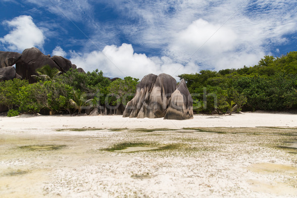 Stock photo: island beach in indian ocean on seychelles