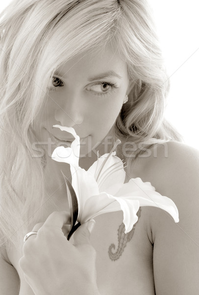 monochrome madonna lily #2 Stock photo © dolgachov