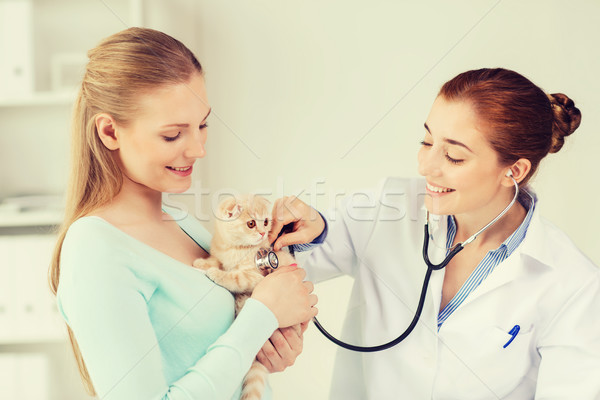 Stockfoto: Gelukkig · vrouw · kat · arts · dierenarts · kliniek