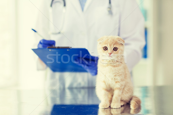 關閉 剪貼板 貓 診所 醫藥 商業照片 © dolgachov