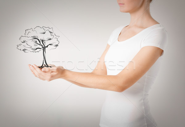 woman with small tree in her hands Stock photo © dolgachov