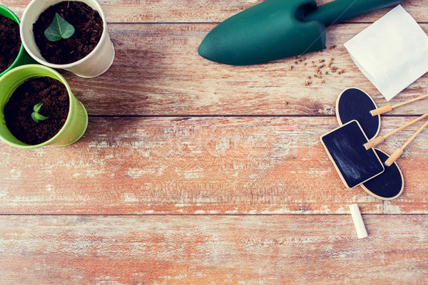 close up of seedlings, trowel and nameplates Stock photo © dolgachov