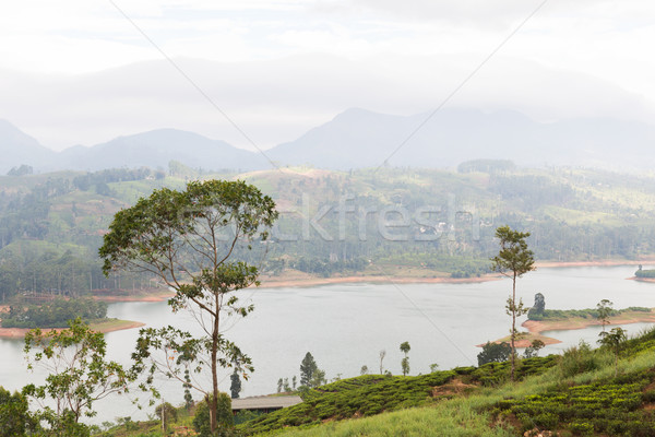 Vista lago río tierra colinas Sri Lanka Foto stock © dolgachov