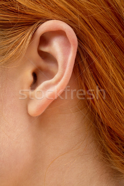 Stock photo: ear of redhead lady
