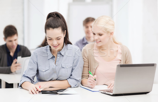 Foto d'archivio: Due · sorridere · studenti · laptop · istruzione