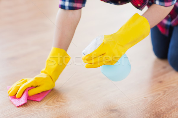 Kobieta szmata czyszczenia piętrze domu Zdjęcia stock © dolgachov