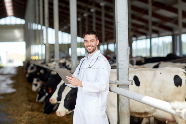 veterinarian with tablet pc and cows on dairy farm Stock photo © dolgachov