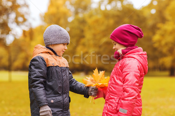 [[stock_photo]]: Peu · garçon · automne · érable · laisse · fille