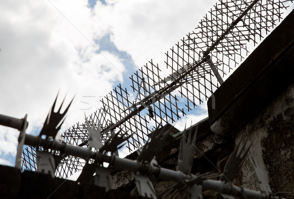Ogrodzenia drutu kolczastego więzienia niebo Zdjęcia stock © dolgachov