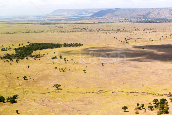 view to maasai mara savannah landscape in africa Stock photo © dolgachov