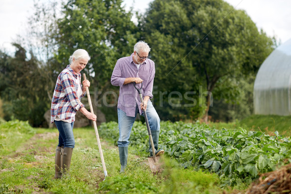 senior couple with shovels at garden or farm Stock photo © dolgachov