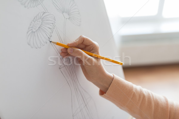 Művész ceruza rajz kép művészet stúdió Stock fotó © dolgachov