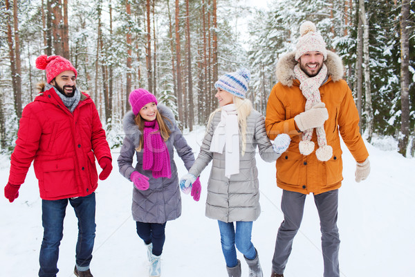 Groupe souriant hommes femmes hiver forêt [[stock_photo]] © dolgachov