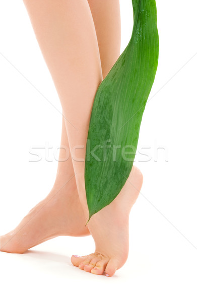 female legs with green leaf Stock photo © dolgachov