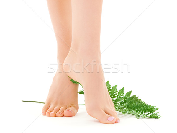 female legs with green leaf Stock photo © dolgachov