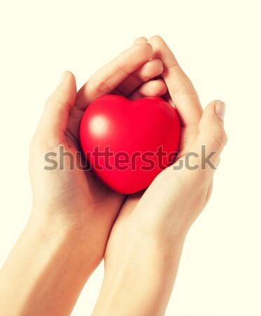 Nő kezek szív közelkép lány szeretet Stock fotó © dolgachov