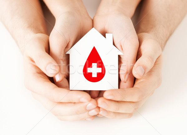 hands holding house with donor sign Stock photo © dolgachov