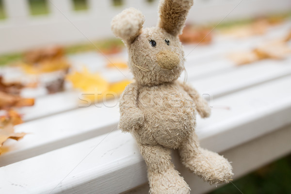 toy rabbit on bench in autumn park Stock photo © dolgachov