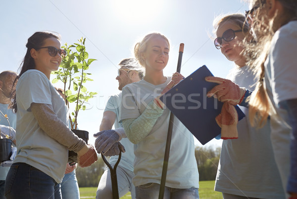 group of volunteers with tree seedlings in park Stock photo © dolgachov