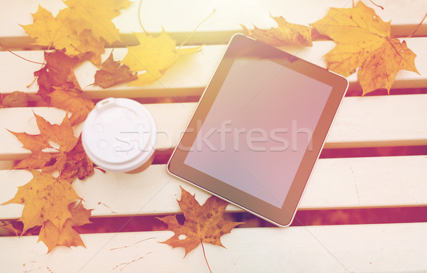 tablet pc and coffee cup on bench in autumn park Stock photo © dolgachov