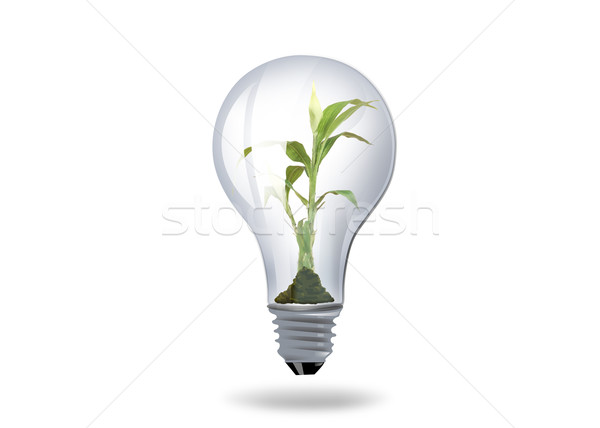 light bulb with plant inside Stock photo © dolgachov