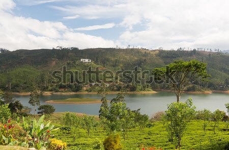Widoku jezioro rzeki gruntów wzgórza Sri Lanka Zdjęcia stock © dolgachov