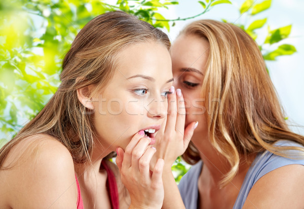 Femeile tinere natural prietenie oameni comunicare Imagine de stoc © dolgachov