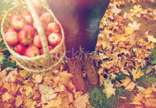 [[stock_photo]]: Femme · panier · pommes · automne · jardin