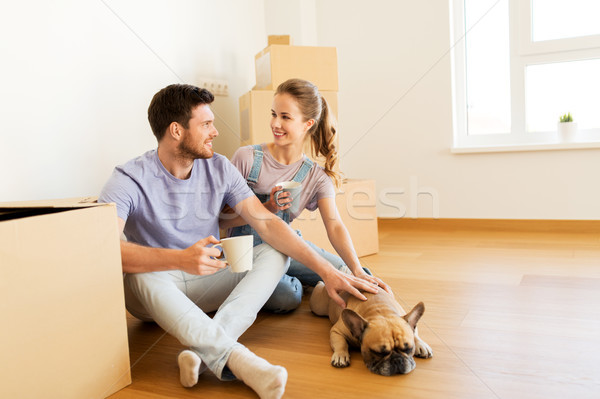 Foto stock: Feliz · casal · caixas · cão · em · movimento · nova · casa