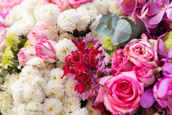 beautiful flowers assortment Stock photo © dolgachov