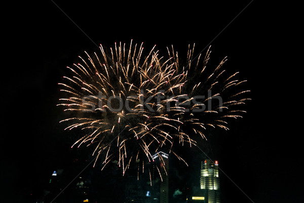 beautiful fireworks at night city sky Stock photo © dolgachov