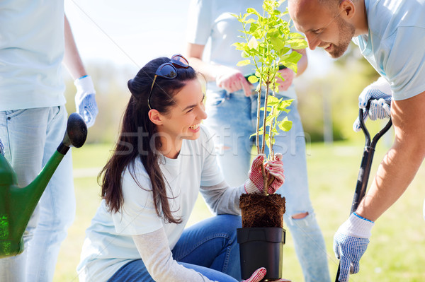 group of volunteers planting tree in park Stock photo © dolgachov