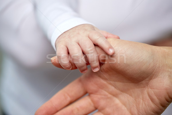 Mutter neu geboren Baby Hände Familie Stock foto © dolgachov