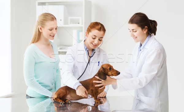 Сток-фото: счастливым · женщину · собака · врач · ветеринар · клинике